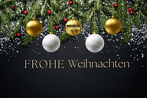 Foto Das gesamte Team von Hinrichsen Immobilien w�nscht Ihnen ein frohes Weihnachtsfest und einen guten Rutsch ins neue Jahr. M�ge die festliche Jahreszeit Freude, W�rme und besinnliche Momente in Ihr Zuhause bringen. Wir bedanken uns herzlich f�r Ihr Vertrauen.<br>