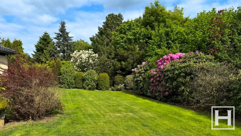 Blick in den Garten Einfamilienhaus Kisdorf